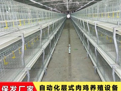 肉鸡养殖全套设备鸡笼自动上料自动清粪横向加温炉降温风机包安装图1