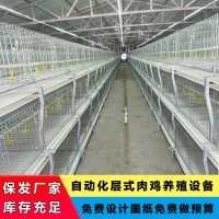 肉鸡养殖全套设备鸡笼自动上料自动清粪横向加温炉降温风机包安装