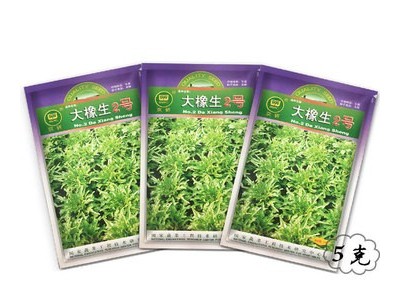 凤鸣雅世 农家播种蔬种子盆栽菜种子 大橡生2号绿色生菜种子 5克图1