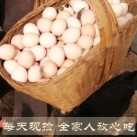 农家姑娘土鸡蛋 农场散养土鸡蛋 新鲜农村自养 天然草鸡蛋