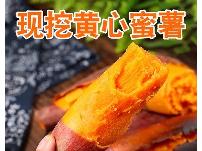 农家自种番薯 新鲜农家地瓜板栗山芋番薯 糖心红薯包邮图1