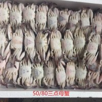 批发60g-80g冷冻野生三点蟹母蟹,三角母,蟹肉饱满