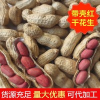 大量批发东北四粒红花生果水煮带壳红皮干花生果带壳生花生果新货