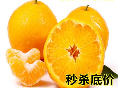 现货 四川春见耙耙柑新鲜水果10斤当季时令现摘柑橘子清甜多汁图1