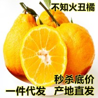 现货 四川不知火丑橘新鲜水果当季整箱10斤丑八怪柑橘丑哭桔子