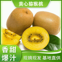 广西桂林黄心猕猴桃 当季新鲜水果大果黄心孕妇奇异果 6斤一件