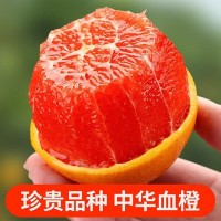 秭归中华红血橙 红心橙 红肉脐橙10斤应季水果手剥橙非塔罗科血橙