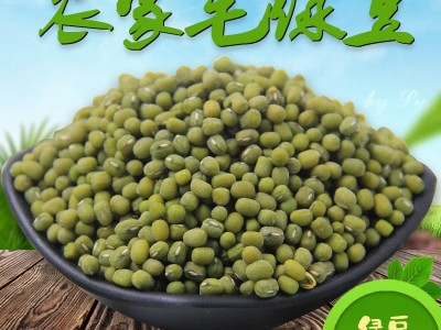 岁耕农家毛绿豆5斤东北新笨绿豆夏日消暑绿豆粥绿豆汤发豆芽原料图1