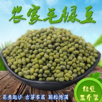 岁耕农家毛绿豆5斤东北新笨绿豆夏日消暑绿豆粥绿豆汤发豆芽原料