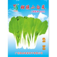 甜脆小白菜种子 耐热耐雨水抗病性强 特靓甜脆小白菜8933蔬菜种子