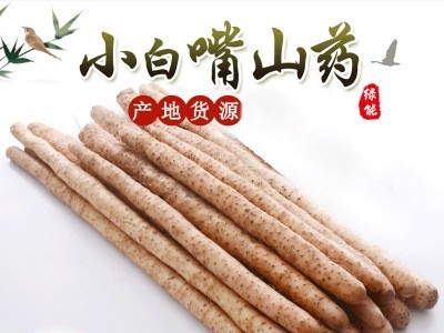 蠡县批发现挖怀山药垆土山药铁棍淮山药铁杆麻山药五斤小白嘴山药图1