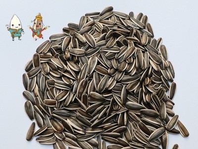 363精品生货50g(180-190批发优等363生瓜子 内蒙古优质葵花籽图1