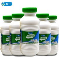 骑士酸牛奶228g*12瓶低温酸奶风味酸牛奶内蒙好喝的牛奶早餐牛奶