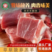 内蒙古草原蒙福羔羊羊腩块冷冻15kg火锅烧烤清炖红烧食材工厂批发