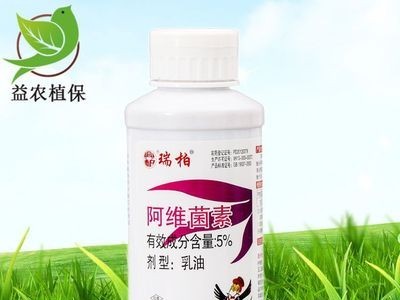 阿维菌素5% 果树柑橘水稻杀螨红蜘蛛杀虫剂小菜蛾200ml图1