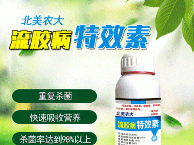 流胶病特效素杀菌剂黄瓜茄子桃树柠檬流胶病穿孔病柑橘疮痂病农药图1