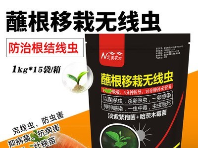 蘸根移栽无线虫 芹菜烟草柑橘洋葱番茄土传病害 根结线虫病专用药图1