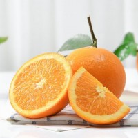 【果园直供】伦晚脐橙脐橙新鲜水果现摘10斤甜橙湖北秭归橙子批发