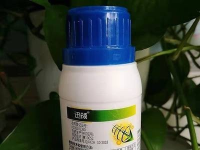 厂家各种虫卵幼虫用杀虫剂 虱螨脲 含量 悬浮剂 可清园图1