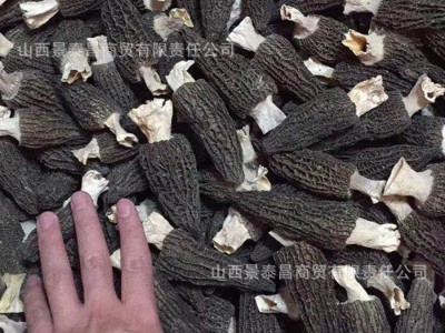 头茬密纹羊肚菌干货250g半斤产地批发剪柄大号酒店饭店菌汤包羊肚图1