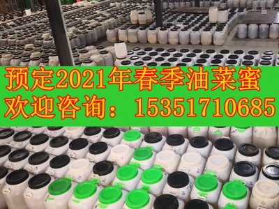 预定2021年春季油菜蜂蜜 浓度平均38度图1