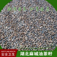 批发茶籽 油茶籽 湖北油茶籽 黄冈油茶籽 麻城山茶籽 苦茶籽