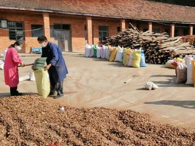 厂家批发湖北随州油茶籽壳、茶粕、现货量大从优图1