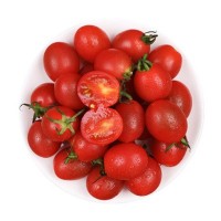 新鲜现摘小西红柿圣女果 小番茄千禧小柿子5斤批发零售一件代发