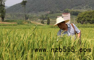 微信截图_20210615114131