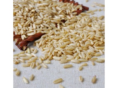 五谷杂粮燕麦米生燕麦仁粒片裸燕麦全胚芽米燕麦米高营养杂粮批发图1
