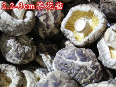 小香菇2------3cm香菇 新冬菇 茶花菇剪脚香菇工厂图1