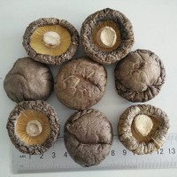 香菇dried mushroom 厂家直销干香菇 光面菇4-5 湖北香菇产地