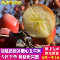 云南昭通苹果高原红富士冰糖心丑苹果新鲜水果5斤10斤顺丰包邮