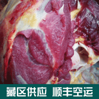 供应甘肃天祝白牦牛肉 新鲜牦牛肉 西藏牦牛肉 冷冻包装生肉批发