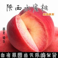 陕西省露天水蜜桃桃味浓应季水果孕妇儿童老人一件代发非油桃