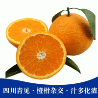 现货品质新鲜四川青见甜橙蜜柑杂交水果 10斤整箱细嫩汁多化渣