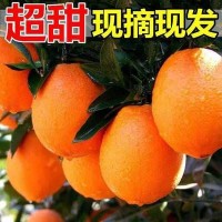 冰糖橙新鲜橙子10斤水果超甜手剥橙应季孕妇水果果冻橙整箱批发