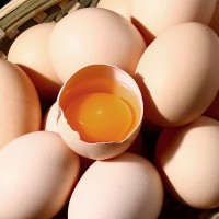 四川巴山土鸡蛋直销新鲜鸡蛋 山林自养粮食白粉壳红心蛋整箱批发