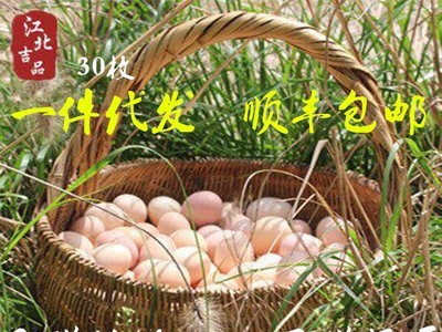 【30枚装土鸡蛋】苏北农村土鸡蛋新鲜柴笨草鸡蛋专业一件代发顺丰图1