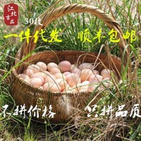 【30枚装土鸡蛋】苏北农村土鸡蛋新鲜柴笨草鸡蛋专业一件代发顺丰