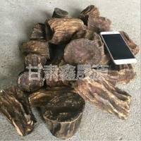 甘肃礼县熏制三年生产地直发含量保证符合药典标准马蹄大黄