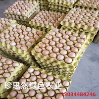 全国供应土鸡蛋 草鸡蛋 散养土鸡蛋原厂一手货源