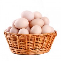 【厂货通】竹林散养土鸡蛋30枚又称柴鸡蛋笨鸡蛋产地直发一件代发