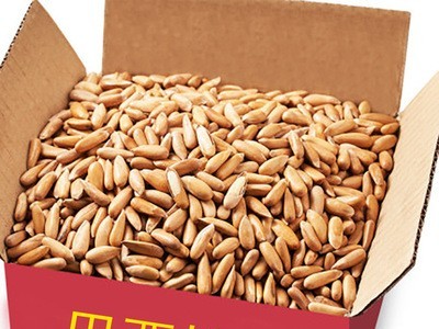 坚果整箱批发散货10kg休闲零食图1