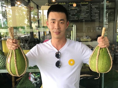 泰国暹罗红宝石青柚苗 枝条 现货图1