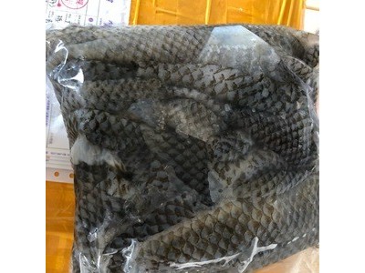 鱼皮 火锅食材 四川火锅 火锅自助 凉拌 爆炒 直销 批发图1