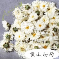 黄山白菊花贡菊散装花品质太阳菊安徽花茶泡水花草茶大货批发