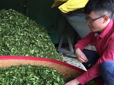 乌龙茶 福建特产 武夷山大红袍 厂家批发 散装茶叶 2021年春茶图1