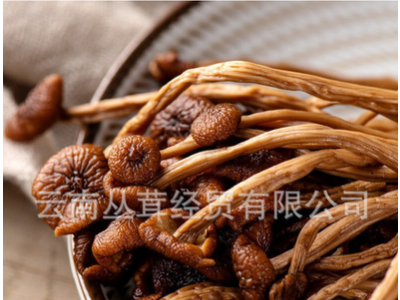 茶树菇干货散装金针菇炖汤煲汤食用菌展销会地摊批发图1