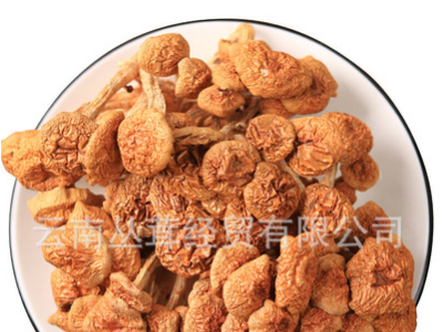 滑子菇干货云南特产食用菌滑子磨菌菇包小蘑菇批发图1